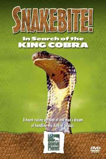 Snake Bite: In Search of the King Cobra