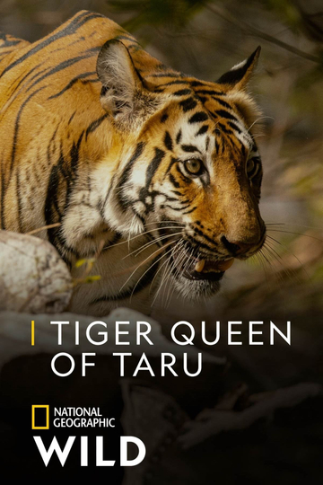 Tiger Queen of Taru