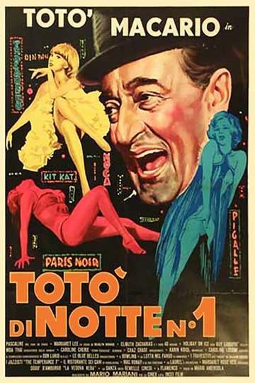 Toto at Night Poster