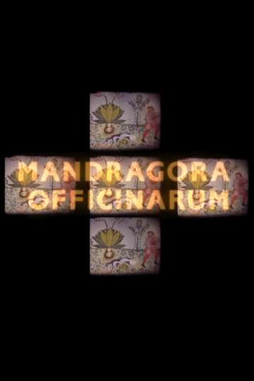 Mandragora officinarum
