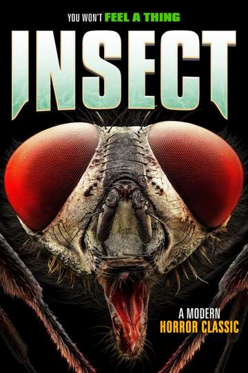 Insect Poster