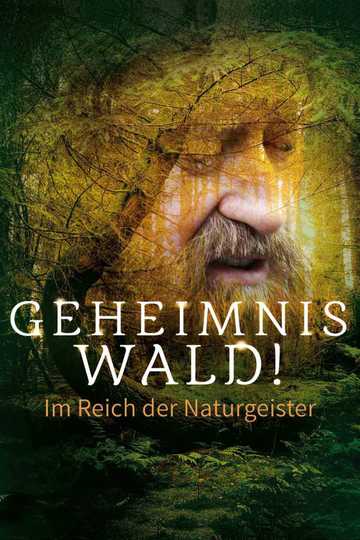 Geheimnis Wald  Im Reich der Naturgeister