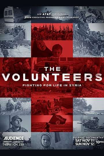 The Volunteers Poster