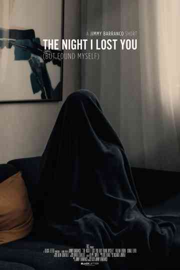 The Night I Lost You (But Found Myself) Poster