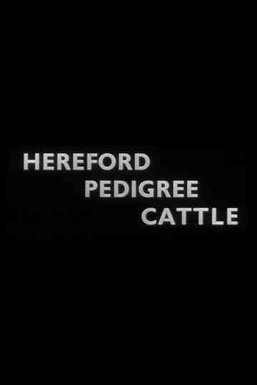 Hereford Pedigree Cattle poster