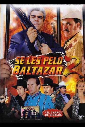 Se les pelo Baltazar 2