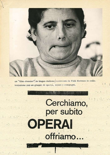 Cerchiamo per subito operai offriamo