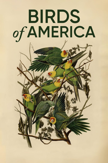 Birds of America