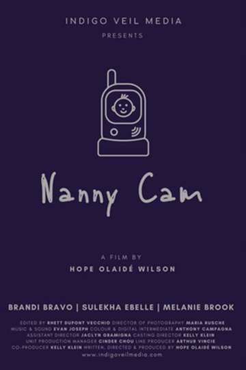 Nanny Cam Poster