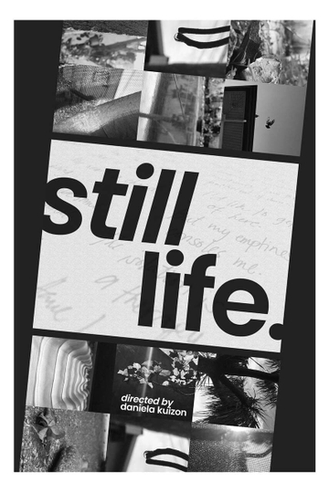 Still Life Poster