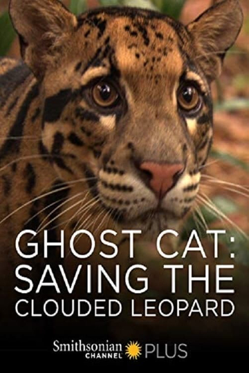 Ghost Cat Saving the Clouded Leopard