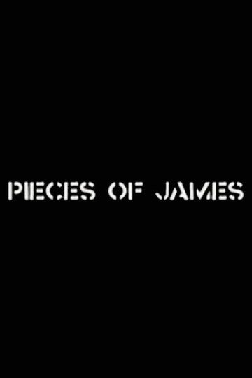 Pieces of James: An Enquiry Into the Art and Life of James Manning