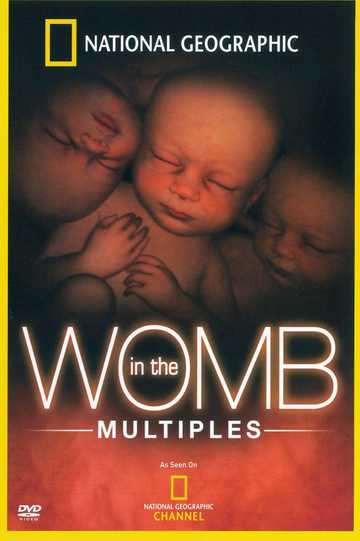 In the Womb Multiples