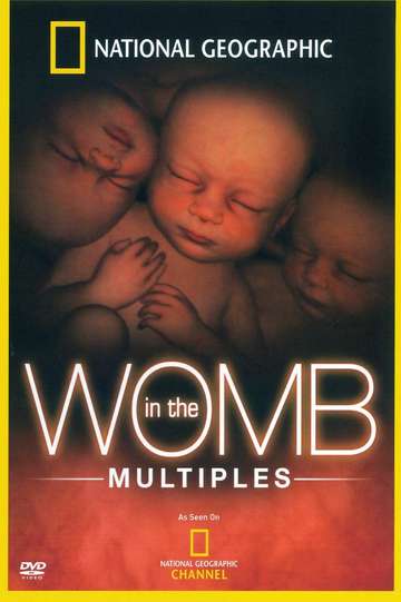 In the Womb Multiples Poster