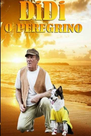 Didi o Peregrino Poster