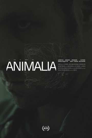 Animalia Poster