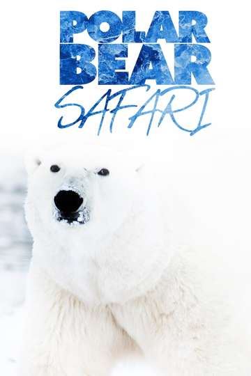 Polar Bear Safari Poster