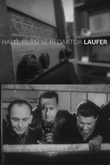 Haló hlásí se redaktor Laufer