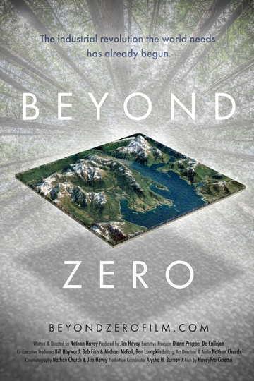 Beyond Zero