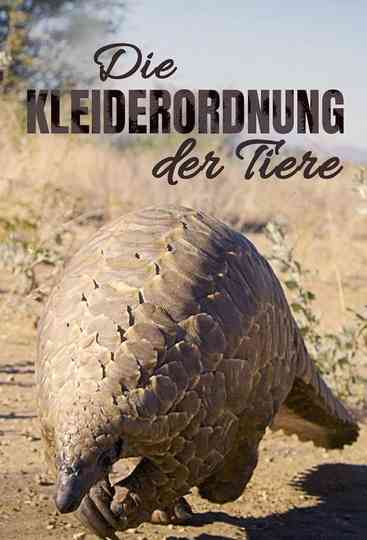 Die Kleiderordnung der Tiere - Wer trägt was und warum Poster