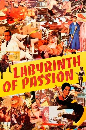 Labyrinth of Passion Poster