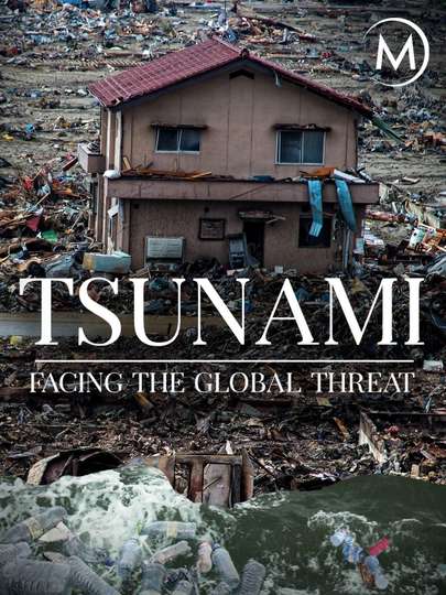 Tsunami Facing The Global Threat Poster