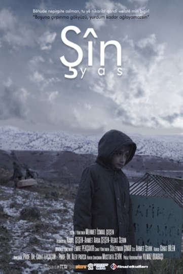 Şîn Poster