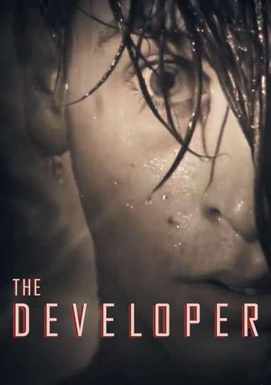 The Developer Poster