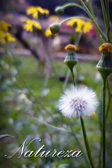 Natureza