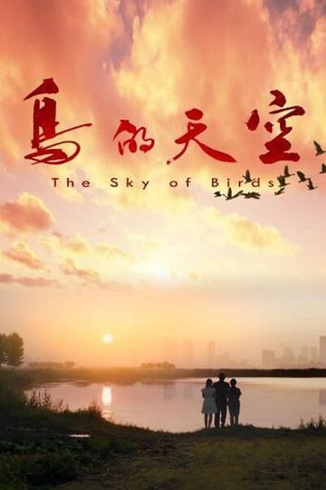 The Sky of Birds Poster