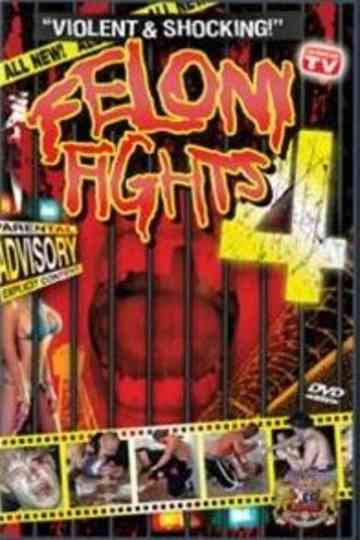 Felony Fights 4 Down and Dirty