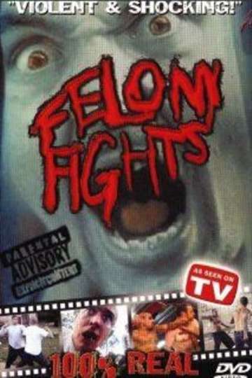 Felony Fights 1 Sick and Twisted Games