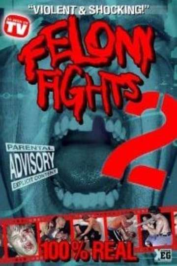 Felony Fights 2 Return of the Games