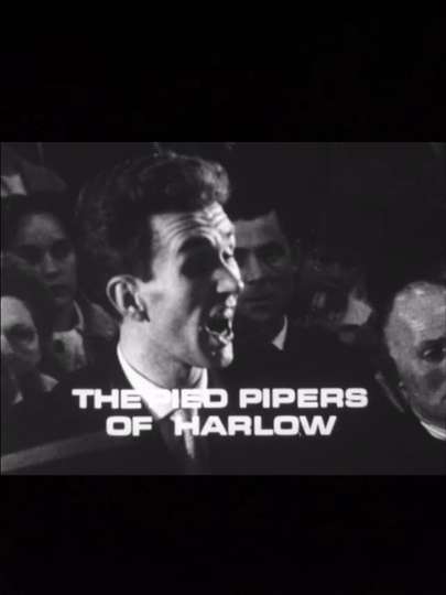 The Pied Pipers of Harlow