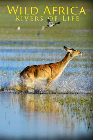 Wild Africa: Rivers of Life