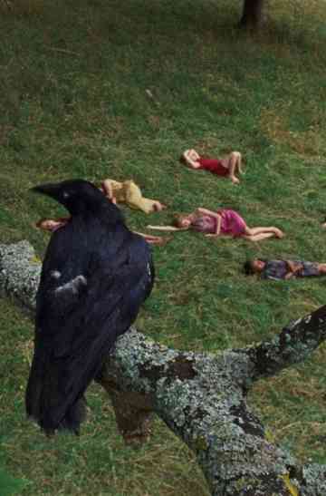 The Bird Game Poster