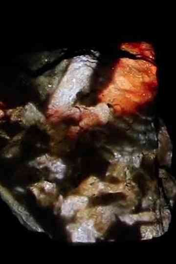 de hundrede mand Poster