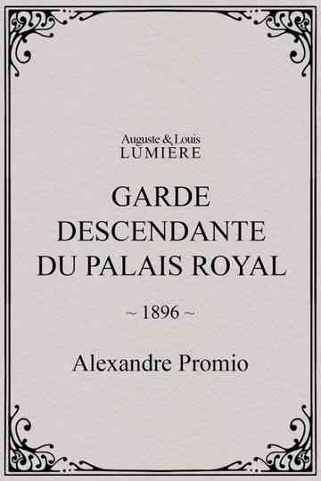 Garde descendante du palais royal poster