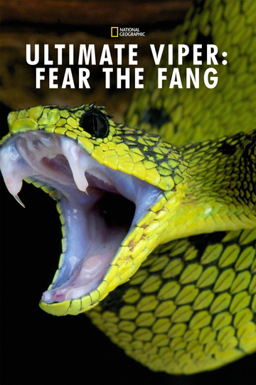 Ultimate Viper Fear the Fang