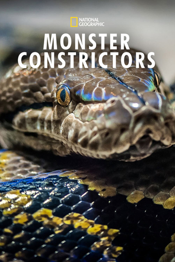 Monster Constrictors