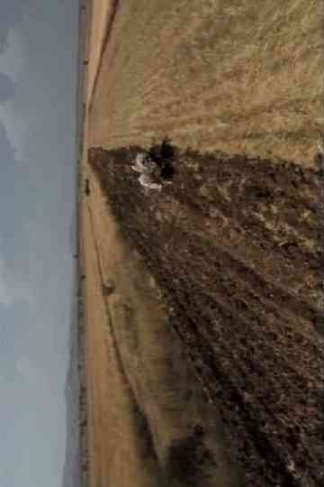 Years of Solitude Poster