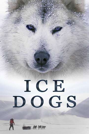 Ice Dogs The Only Companions Worth Having