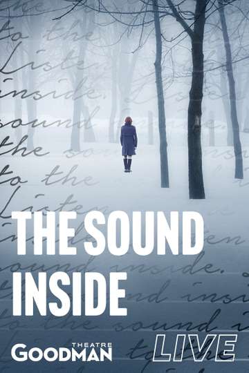 The Sound Inside Poster