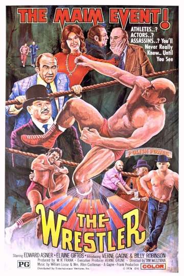 The Wrestler Poster