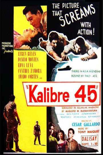 Kalibre 45 Poster