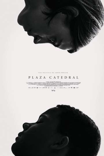 Plaza Catedral Poster