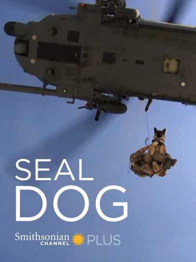 SEAL Dog Poster