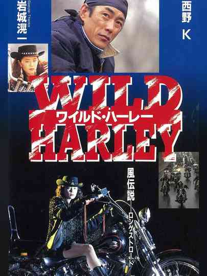 Wild Harley