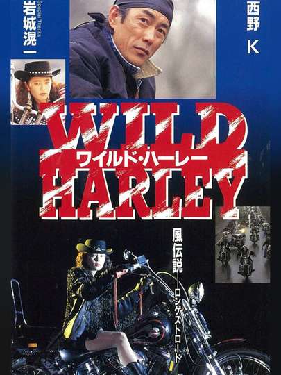 Wild Harley Poster