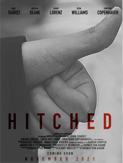 Hitched Poster